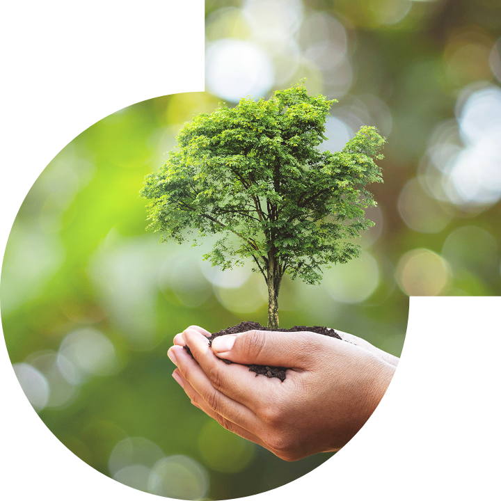 關懷人類、文化、環境與社會